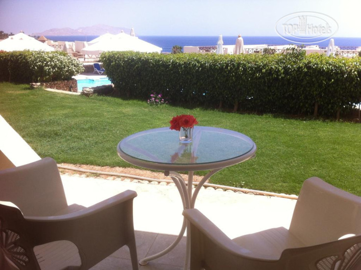 New photos from tourists Sharks Bay Oasis 3*