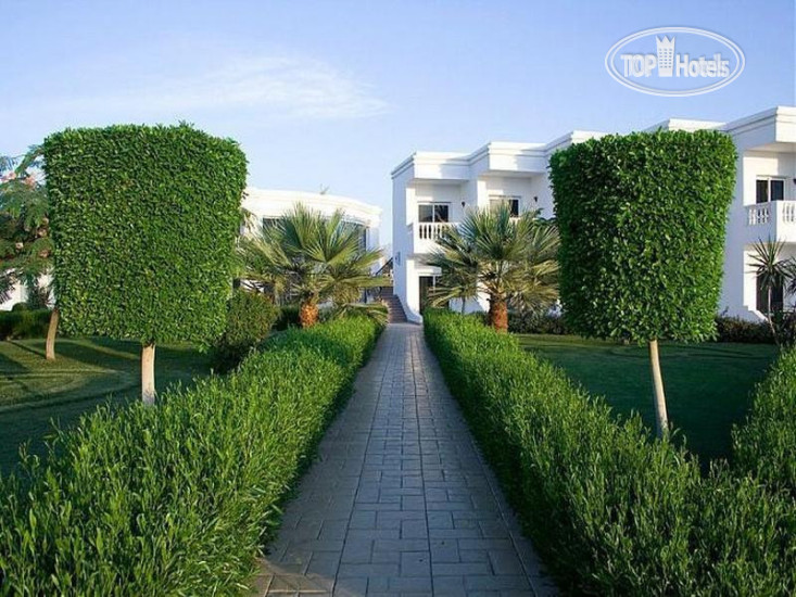 New photos from tourists Royal Paradise Resort 4*