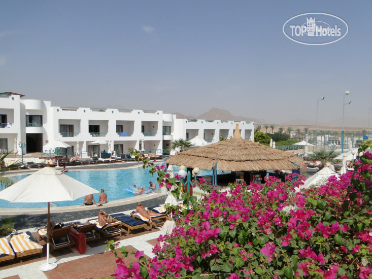 New photos from tourists Sharm Holiday 4*