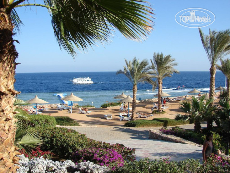 Hotel photo Queen Sharm Resort 4*