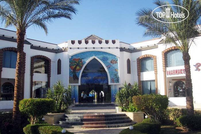Новые добавленные фото туристов Viva Sharm Hotel 3*