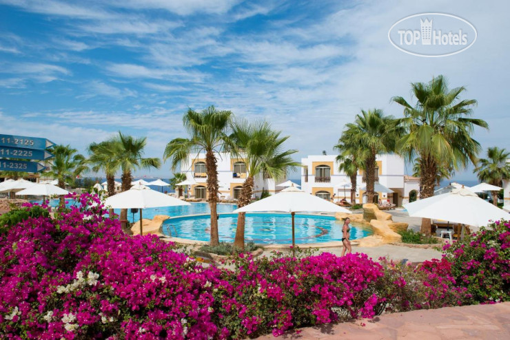 Hotel photo Amphoras Blu Resort 4*