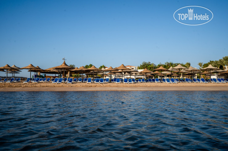 New photos from tourists Ivy Cyrene Sharm Resort Adults Friendly Plus 13 4*