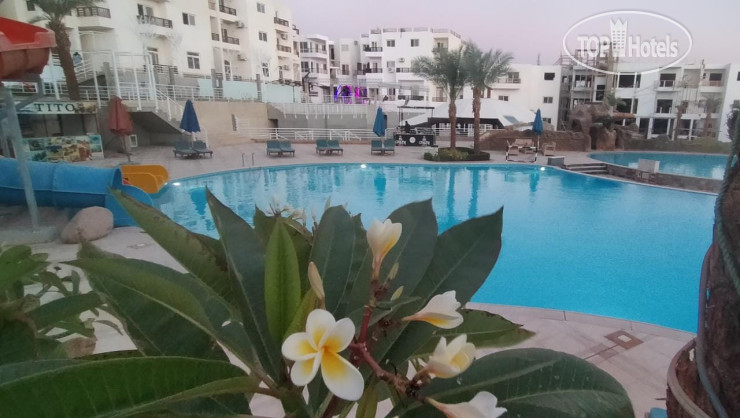 Hotelier's photos Fortune Aquapark & Resort Naama Bay