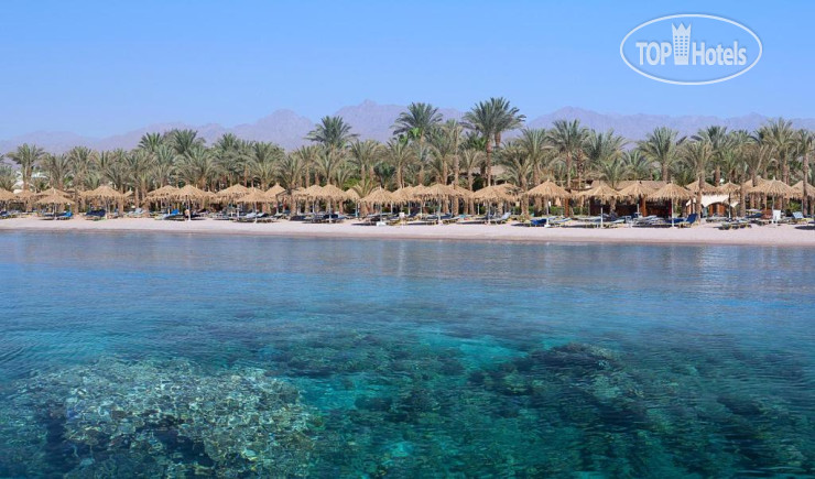 New photos from tourists Sharm Dreams Vacation Club - Aqua Park 5*