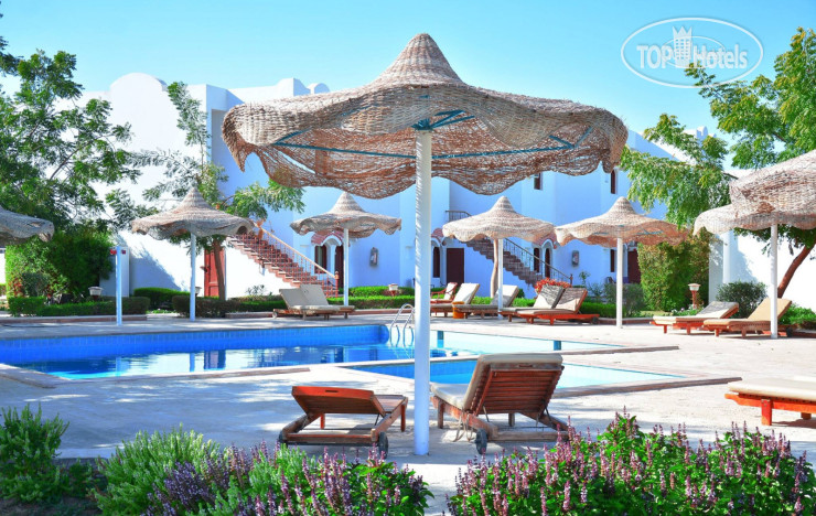 New photos from tourists Desert View Sharm Hotel 3*