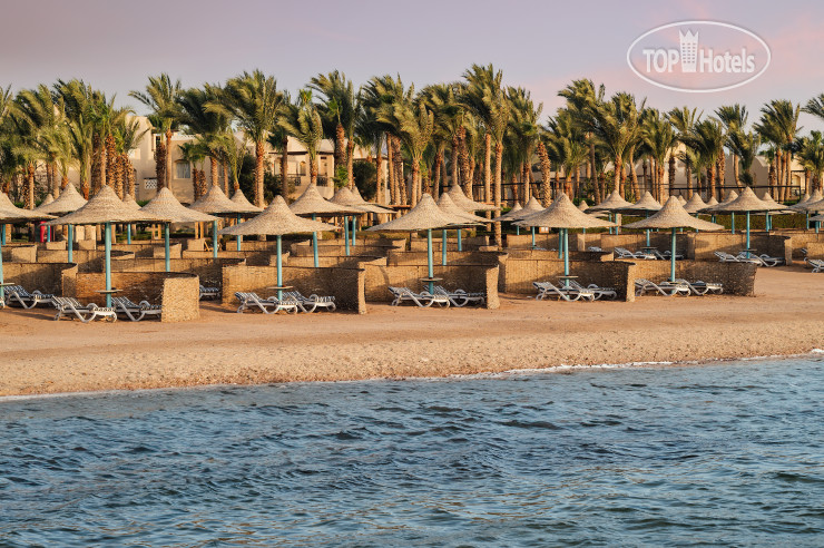 New photos from tourists Iberotel Redsina 5*