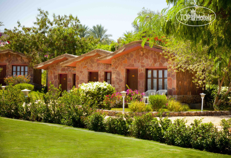 Новые добавленные фото туристов Xperience St. George Homestay 4*