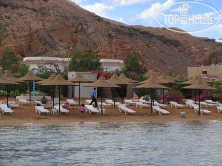 New photos from tourists Poinciana Sharm Resort 4*