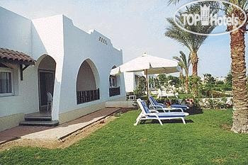 Hotelier's photos Poinciana Sharm Resort 4*