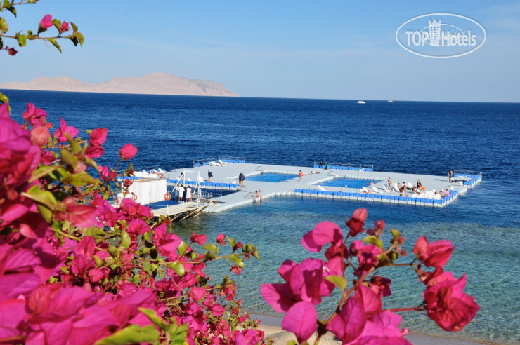 Hotel photo Domina Coral Bay Oasis 5*