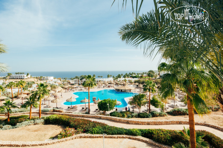 Новые добавленные фото туристов Domina Coral Bay King's Lake 5*