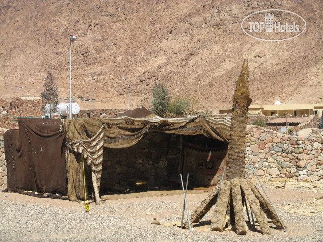 New photos from tourists Daniela Village St.Katherine 3*