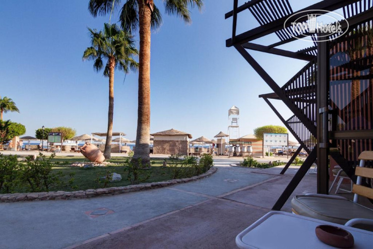 New photos from tourists Eagles Paradise Abu Soma Resort 4*