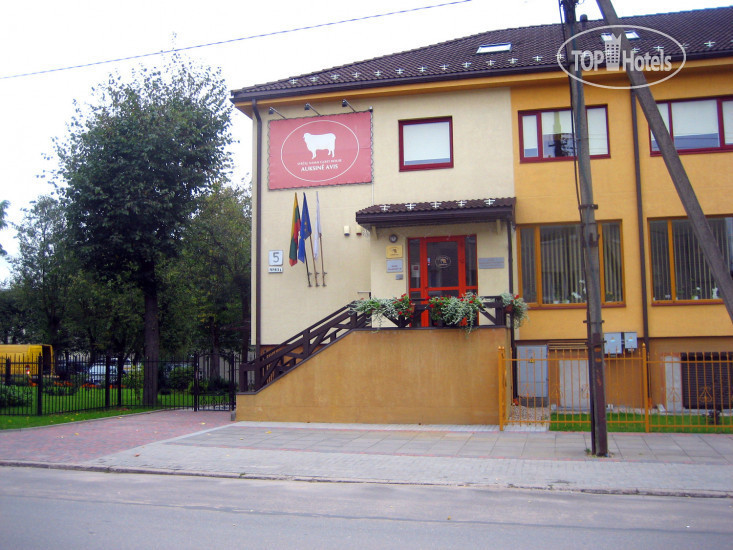 Hotel photo  Auksine Avis Guest House 3*