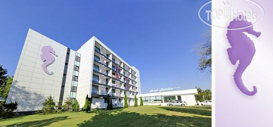 New photos from tourists Melodia Hotel 4*