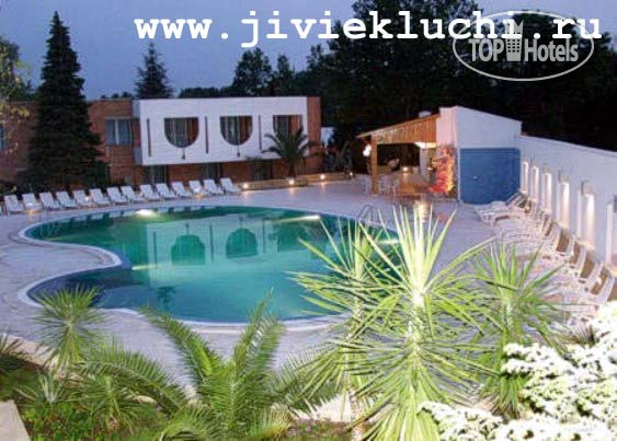 New photos from tourists Dana 4*