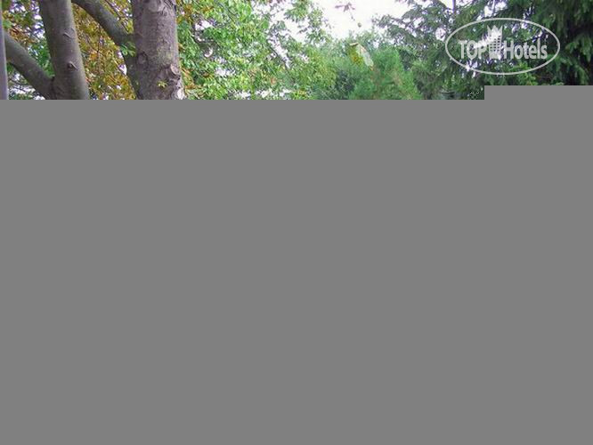 New photos from tourists Florica - Iulia Resort 2*