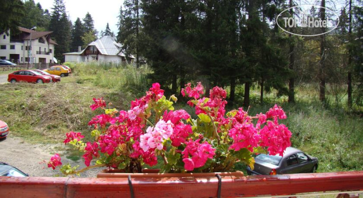 New photos from tourists Victoria Villa 3*