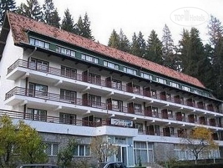 Hotelier's photos Timish 2*