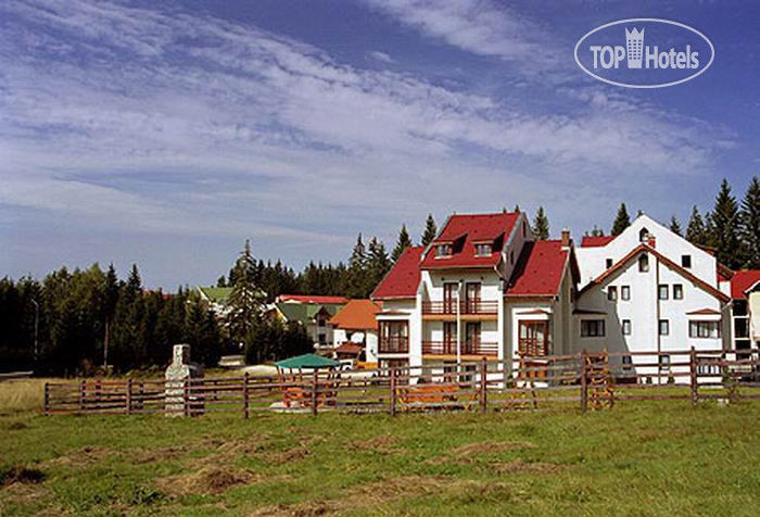 Hotel photo Limor 3*