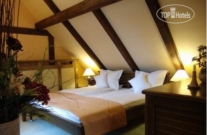 New photos from tourists Bellamuzica 3*