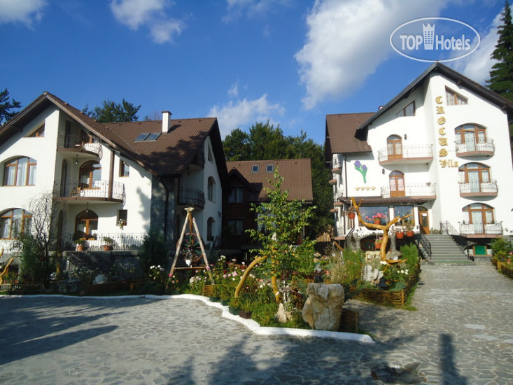 New photos from tourists Crocus 4*