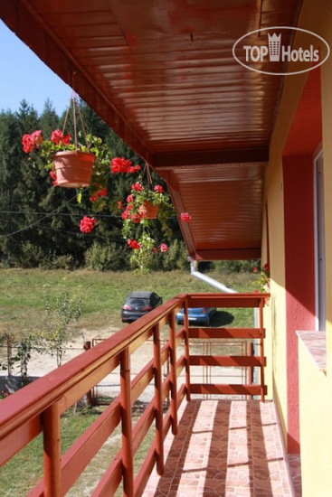 New photos from tourists Trandafirul Vila 3*
