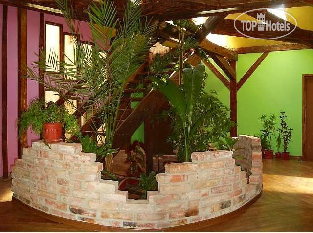 New photos from tourists Pension Flamingo 3*