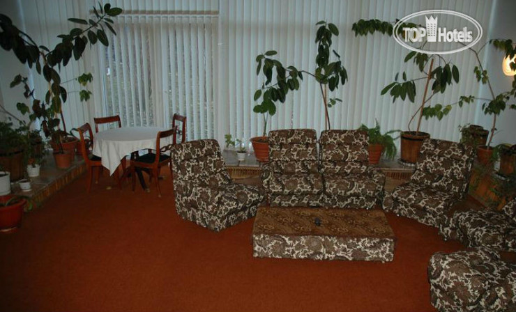 New photos from tourists Villa Flora 3*