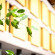 Photos Perla D Oro Hotel
