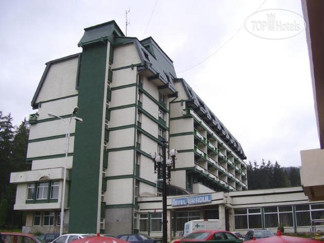 Hotel photo Bradul-Calimani 3*