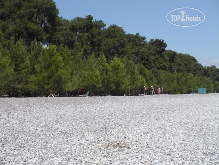 New photos from tourists Tihaya Gavan