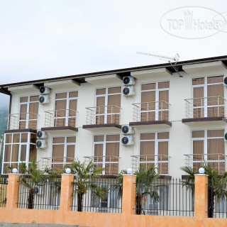 Фото Орхидея