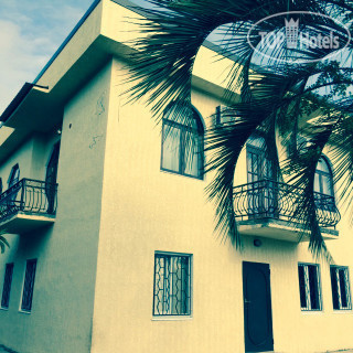 Photos Эвкалипт