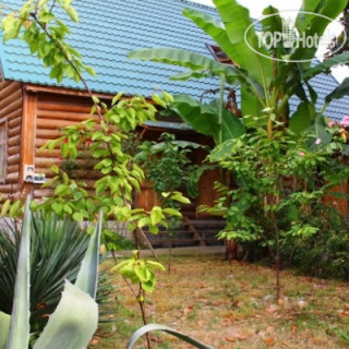 Фото Магнолия