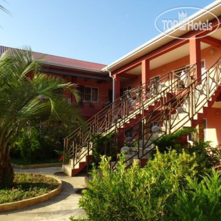 Фото Розовый Фламинго