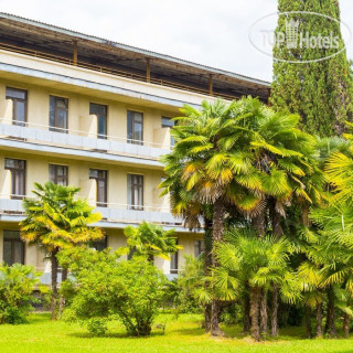 Фото Лагуна