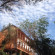 Фото Villa Oliva