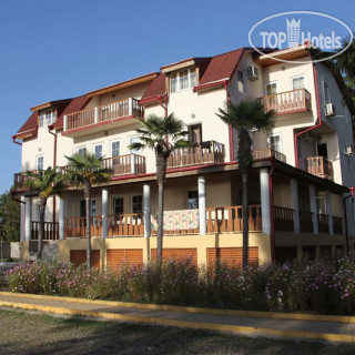 Photos Самшит 555