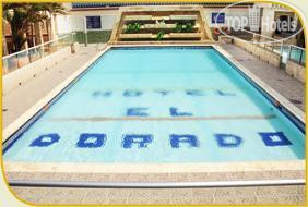 New photos from tourists Dorado Plaza 3*