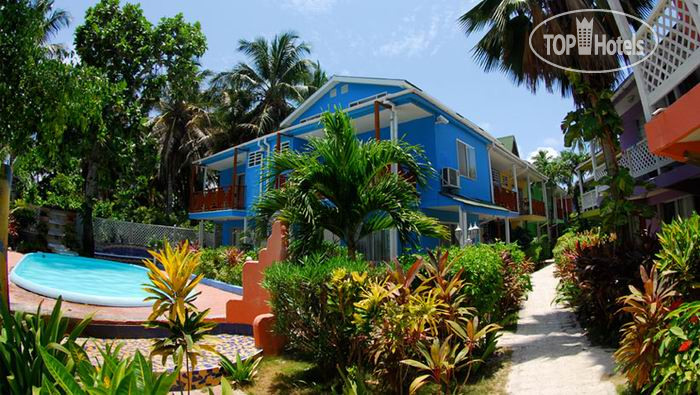 Hotel photo Cocoplum Beach Resort 3*