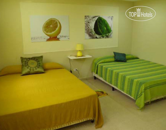 Hotel photo Mediterranean Dreams El Dorado 2*
