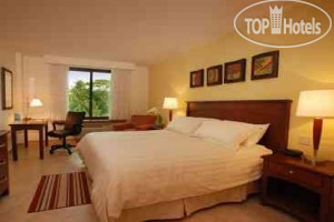 New photos from tourists Holiday Inn Panama Canal by IHG 5*