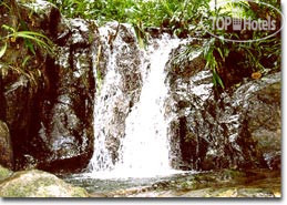 New photos from tourists Dolphin Island Lodge 3*
