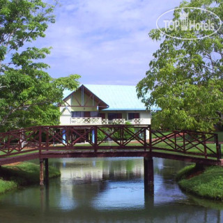 Photos Los Guayacanes