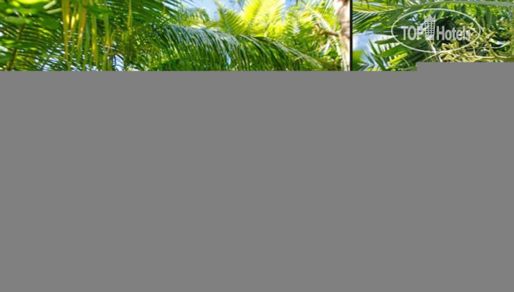 New photos from tourists Rohotu Fare Lodge 2*