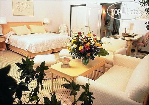 New photos from tourists Hotel Europa 4*