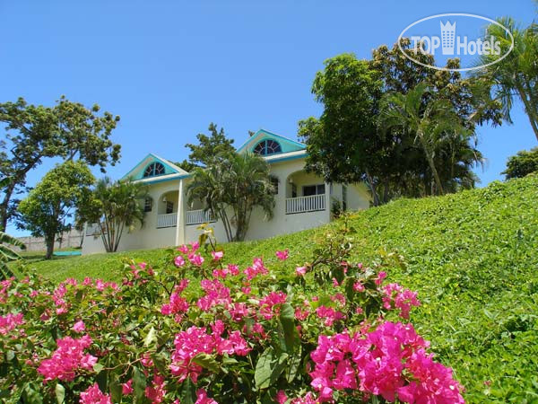 Новые добавленные фото туристов Turquoise Bay Dive & Beach Resort 4*
