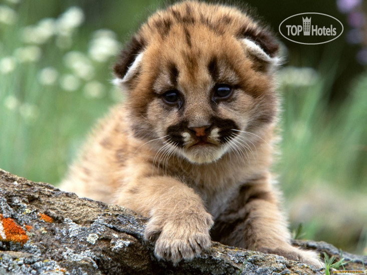 Photos Don Udo's Hotel and Restaurante 22